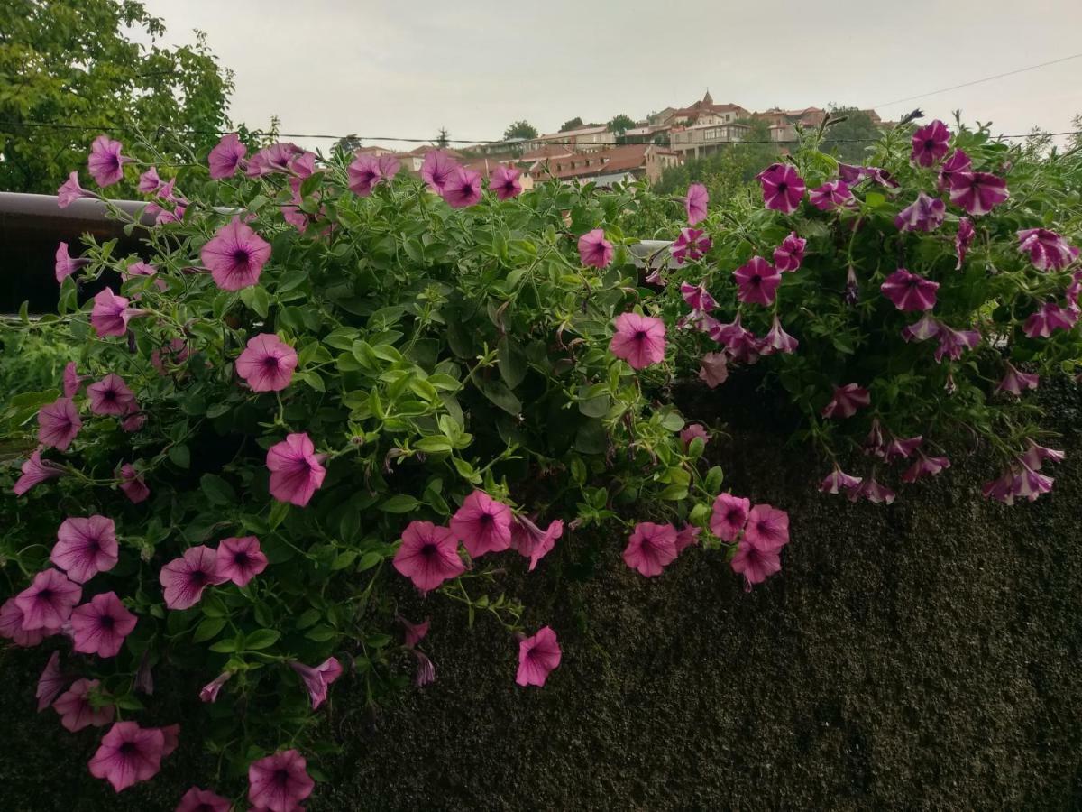 Guest House Vista Sighnaghi Luaran gambar