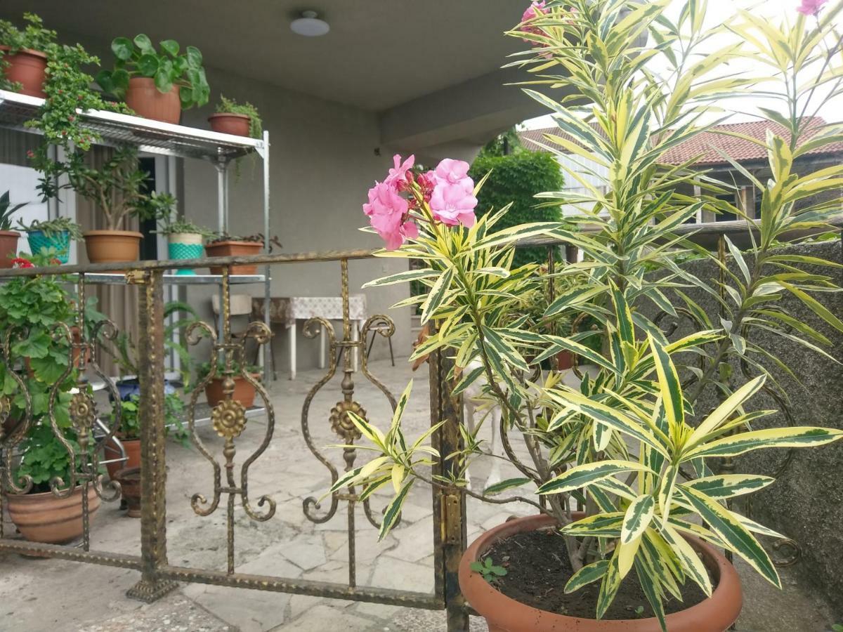 Guest House Vista Sighnaghi Luaran gambar