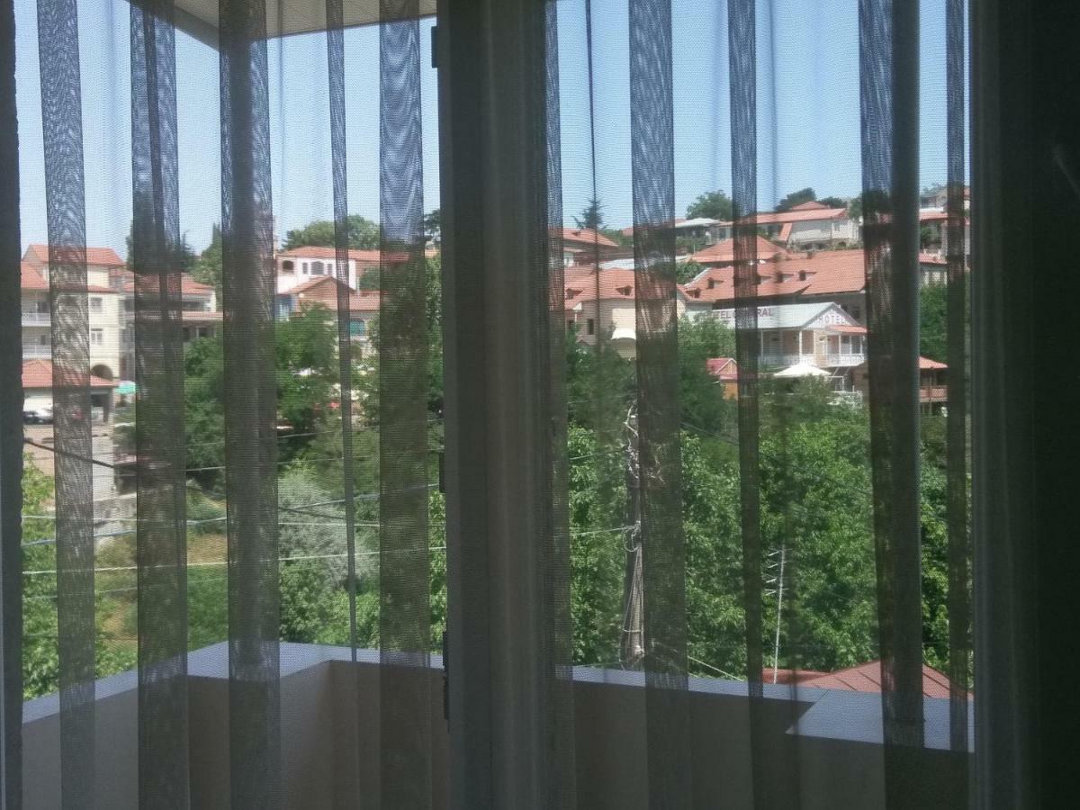 Guest House Vista Sighnaghi Luaran gambar